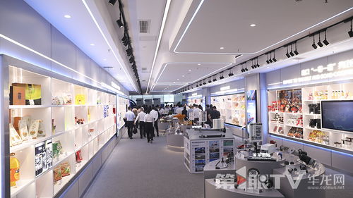 視頻 在線辦好 進出口一件事 西部陸海新通道 渝貿通數智貿易平臺正式上線